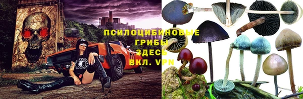 бутират Михайлов