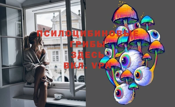 мяу мяу мука Медвежьегорск