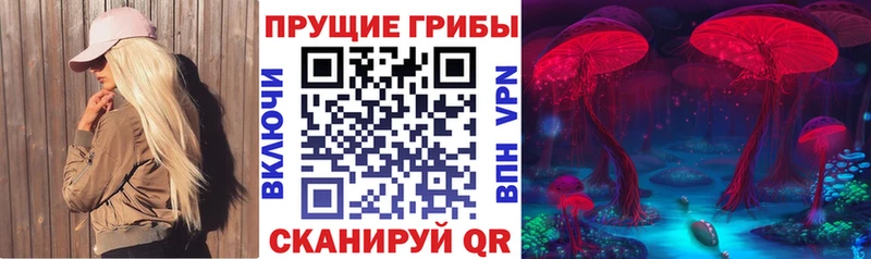 Галлюциногенные грибы Psilocybine cubensis  даркнет сайт  omg зеркало  Енисейск 